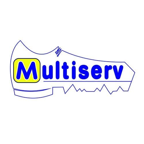 Multiserv Logo
