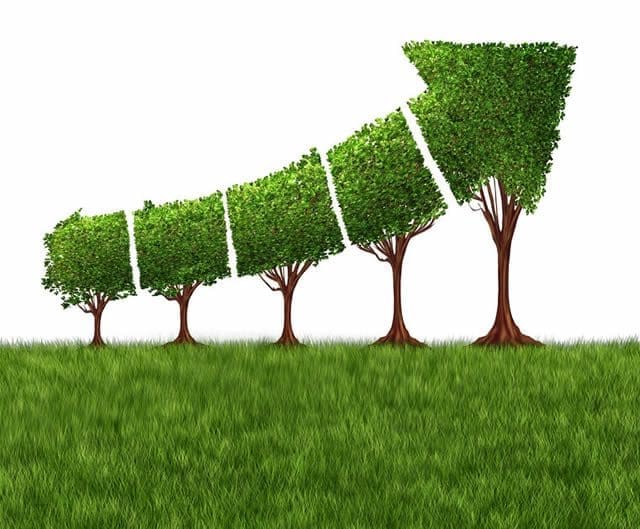 Signarama sees strong growth in Q1
