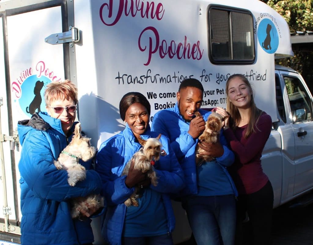 Mobile Pet Grooming Franchise Opportunity with Divine Pooches
