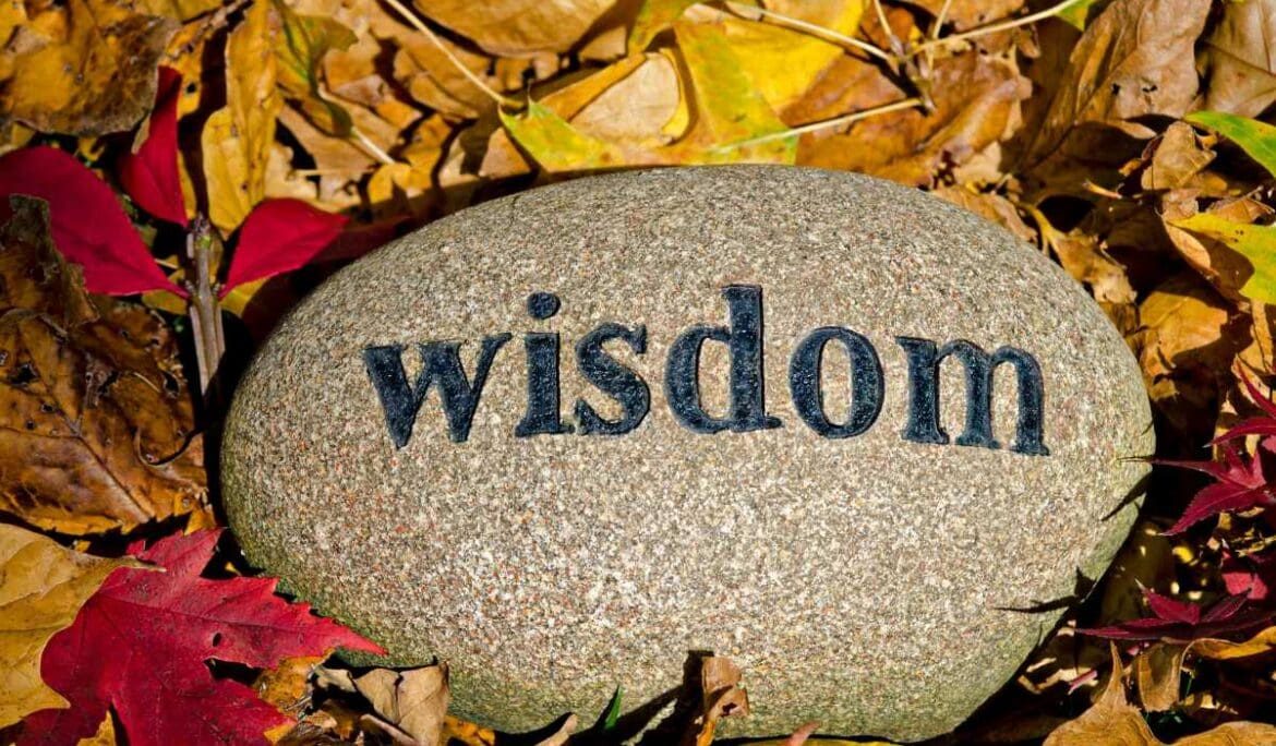 Pearls of wisdom from FASA’s Franchise Conference