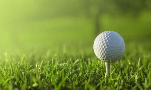 Start working on that handicap…Book now for FASA’s Golf Day on the 4th of October